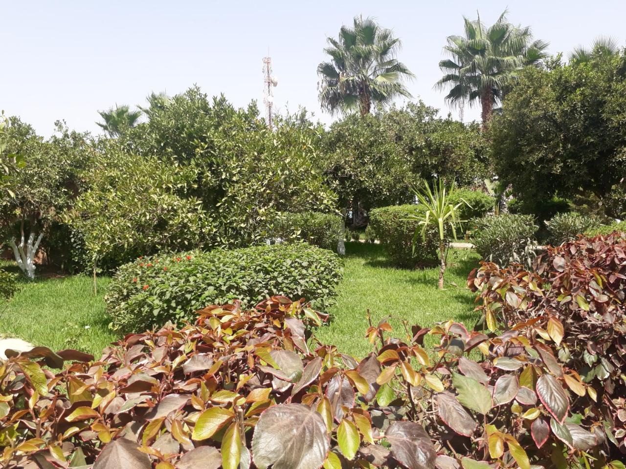 Almounia Hotel & Spa Tarudante Exterior foto